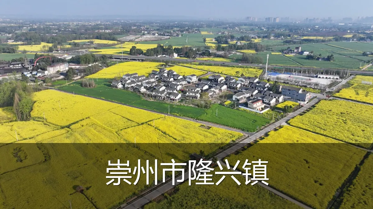 崇州市隆兴镇