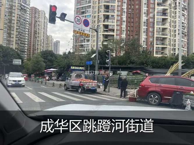 成华区跳蹬河街道
