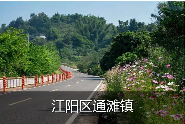 江阳区通滩镇