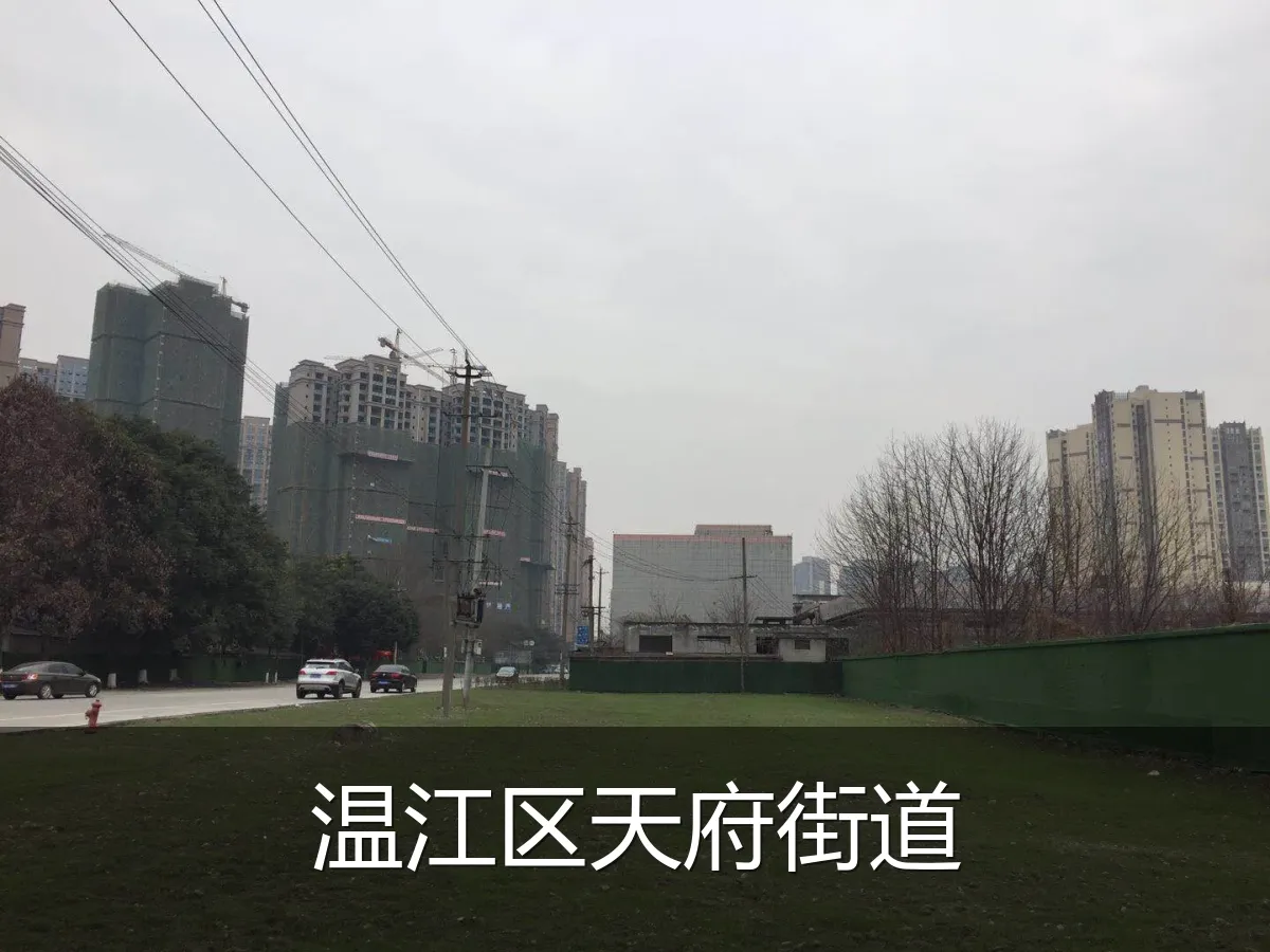 温江区天府街道