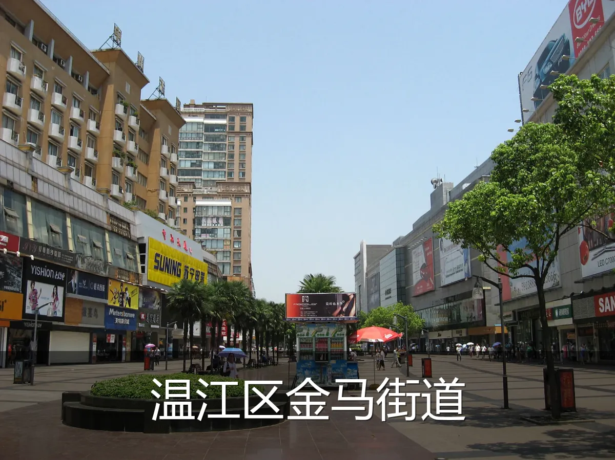 温江区金马街道