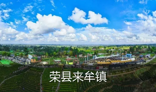 荣县来牟镇