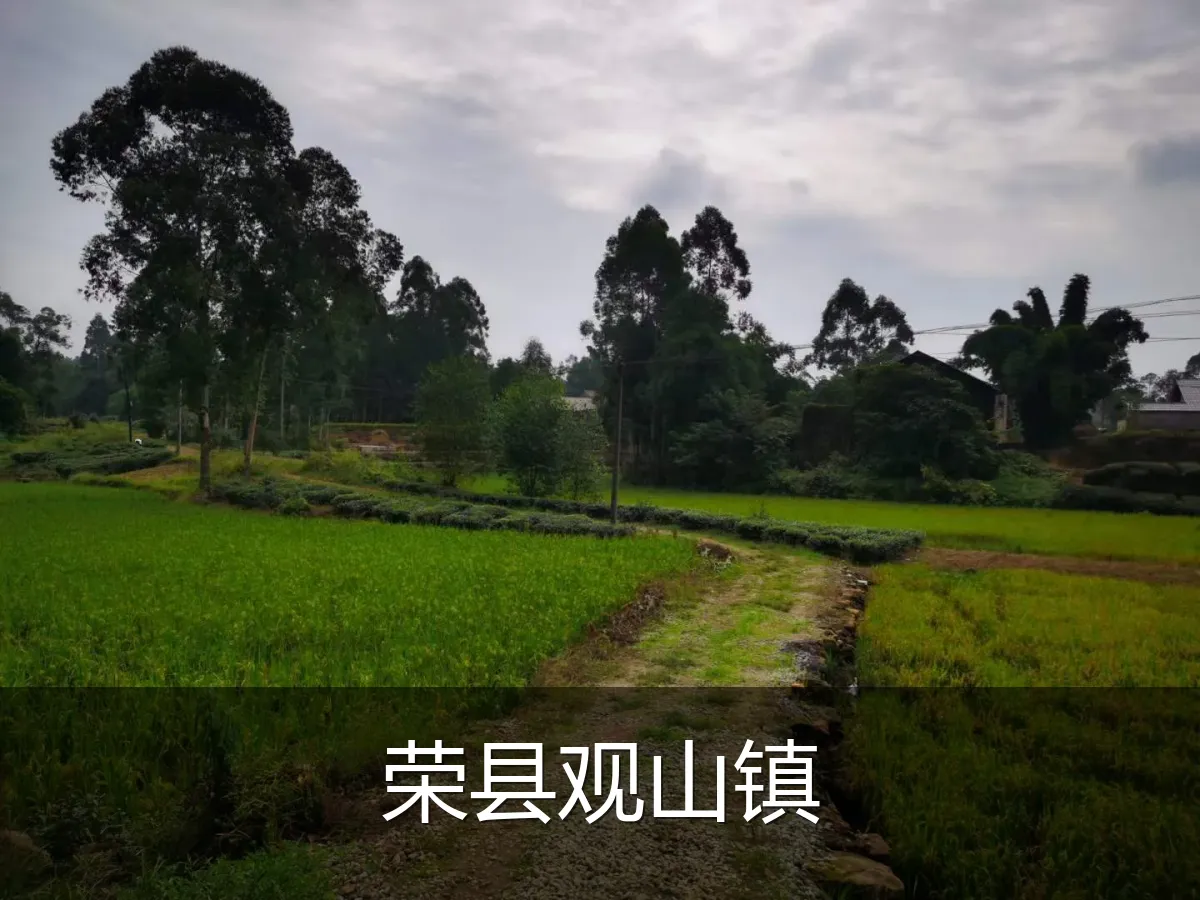 荣县观山镇