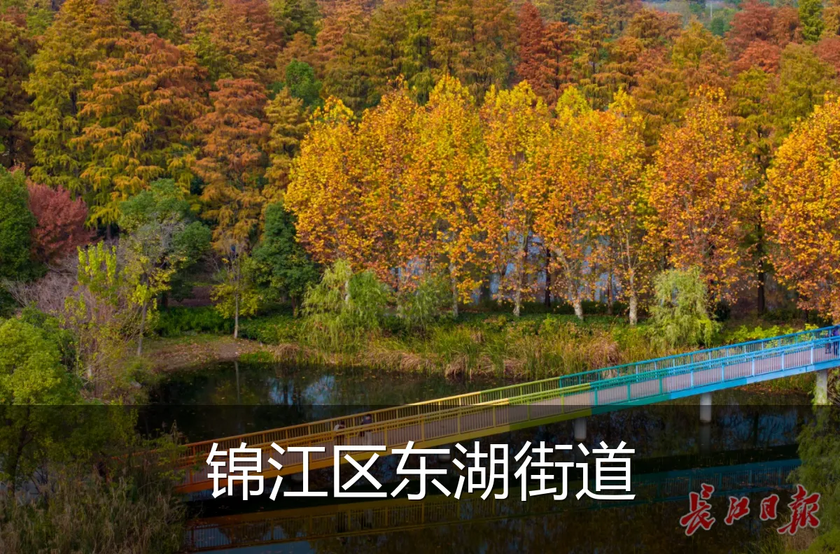 锦江区东湖街道