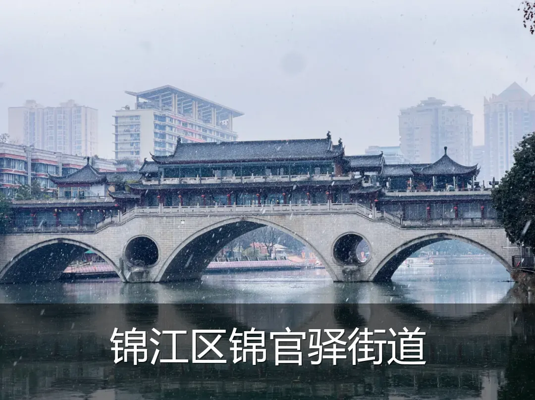 锦江区锦官驿街道